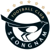 Seongnam fc