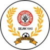 Semen padang