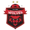 Wollongong wolves