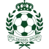 Dessel Sport
