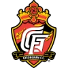 Gyeongnam fc