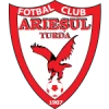 Arieşul turda