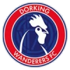 Dorking wanderers