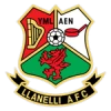 Llanelli afc