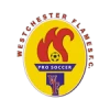 Westchester Flames