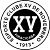 Xv de piracicaba