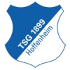 Hoffenheim ii