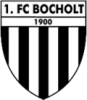 Fc bocholt