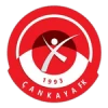 Çankaya fk
