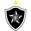 Estrela do norte