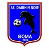Dauphins noirs