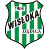 Wisłoka dębica