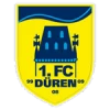Düren merzenich